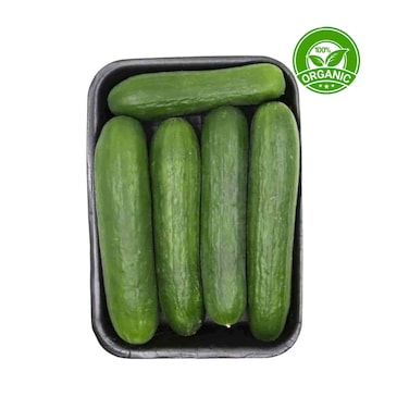 Organic Cucumbers 500g