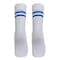 SCHOOL SOCKS WHITE/BLUE STRIPE XL