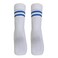 SCHOOL SOCKS WHITE/BLUE STRIPE XL