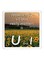 Ajooba Dubai Love Quote Magnet White/Yellow/Green 64X64 Millimeter