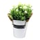 MyChoice Home Cafe Artificial Flower With Grass Multicolour