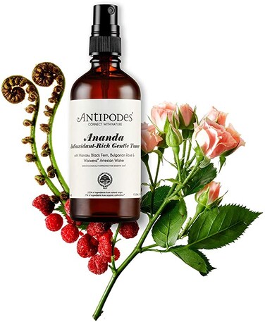 Buy Antipodes Ananda Antioxidant-Rich Gentle Toner 100 Ml Online ...