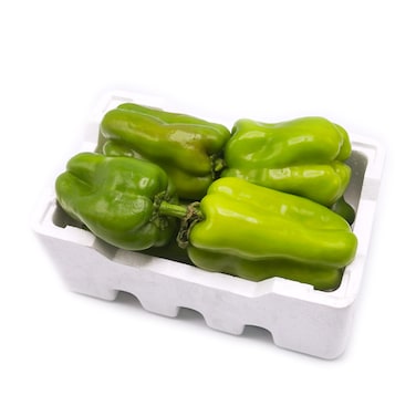 Capsicum Foam Box 500g