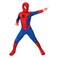 Rubie's Marvel Spider-Man Classic Cosplay Costume M Multicolour