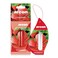 Areon liquid car air freshener strawberry 5 ml