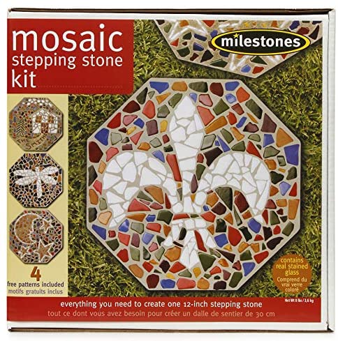 Buy Milestones Mosaic Stepping Stone Kit, Makes A 12 Inch Stone Online ...