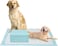 Vsell24 Xl Thicker Puppy Training Pads, Pee Pads For Dogs 6 Layer Super Quick Absorbent &amp; Leak-Proof Pet Training Pads 60X90Cm 60Pc
