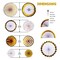 Paper Fan WHITE AND GOLD SET 5 pcs