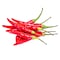 Red Chilli