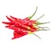 Chilli Red 40g