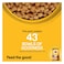 Pedigree Vital Protection Chicken And Vegetables Dry Adult Dog Food 3kg
