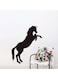Spoil Your Wall Horse Wall Sticker Black 60x80cm