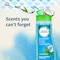 Herbal Essences Hello&nbsp;Hydration&nbsp;Moisturizing Shampoo with&nbsp;Coconut Essences, 400ml