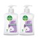 Dettol Sensitive Antibacterial Liquid Handwash 250mlx2 Pieces