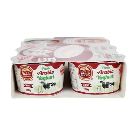 Baladna Fresh Arabic Yoghurt Full Fat  170gx6&#39;s