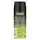 Axe Epic Fresh Deodorant Spray Non-Stop Grapefruit And Tropical Pineapple Scent 150ml