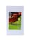 Royalford Vegetable Cutting Board White