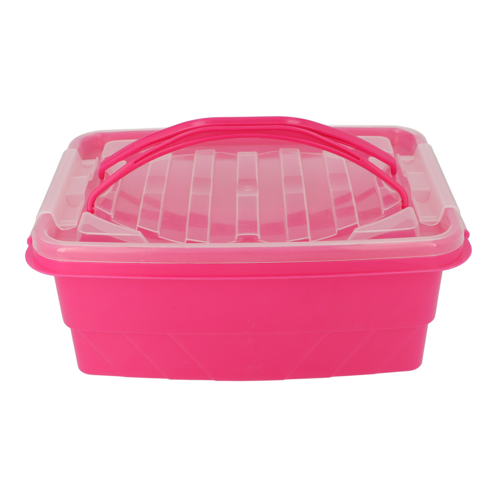 Appollo Clear Lock Storage Box Small 5 lt