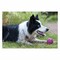 Rogz Gumz Dog Treat Ball Medium 6.4cm Pink