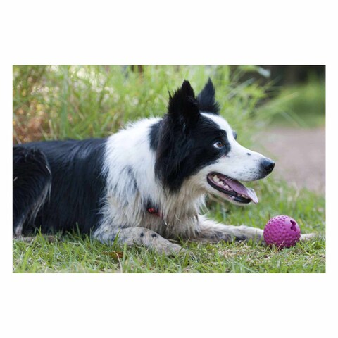 Rogz Gumz Dog Treat Ball Medium 6.4cm Pink