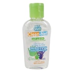 Buy MINI STYLE CLEAN NET INSTANT HAND SANITIZER 60ML in Kuwait