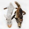 Plush Pet Squeakz The Racoonz Family Dog Toy - Multicolor - 4pc