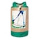Biggdesign Anemoss Jute Bag For Women, Beach and Pool Jute Drawstring Bucket Bag for Summer, Lightweight and Natural Crossbody Jute Shoulder Bag with Front Pocket, Green Color