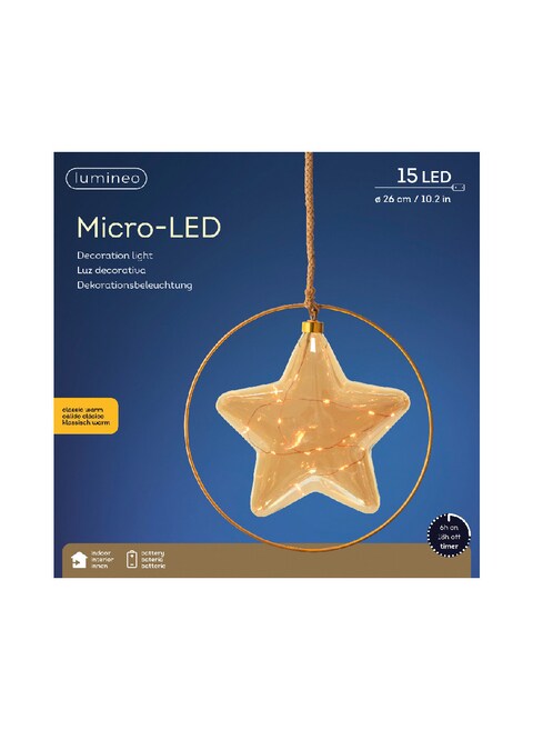Kaemingk Micro indoor LED star steady