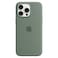 Apple Silicone Case Cover With MagSafe For iPhone 15 Pro Max Cypress