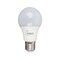 Ecolite Led Bulb - 40 Watt - 6500K - Cool Light