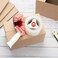 Dingo Packing Tape Dispenser Carton Box Sealer, 2 Inch Tape Side