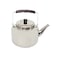 Stainless Steel Tea Kettle 