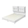 In House Le&oacute;n Velvet Bed Frame - Queen - 200x160 cm - White