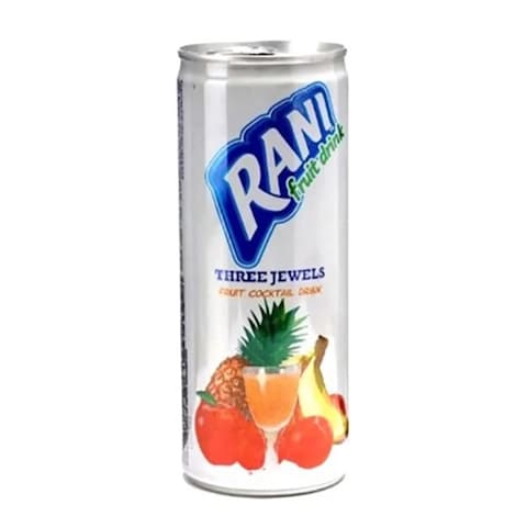 Rani Fruit Three Jewels - 235 Ml