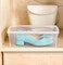 Plastic Forte Shoe Box