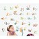StickieArt - Colourful Animal Alphabets for kids - Wall Decal- Large - 60 x 90 cm - STA-197