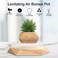 Nicetow Small Levitating Air Bonsai Pot, Decorative Resin Flower Pot, Magnetic Levitation Suspension Floating Pot, Office Planter Plant Pots For Home Desk Decor-Wood 19X3Cm(7X1Inch)
