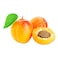 Apricot