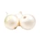 Onion White