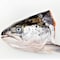 Fresh Salmon Head