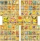 Gold Pokemon Cards Golden Foil Set (110 pcs) including 17 V Series Cards, 43 GX Rare Cards, 6 EX Cards, 28 Vmax Rares, 7 Basic Cards, 7 Tag Cosplay Cards, 1 DX Card, and 1 Athletic Card
