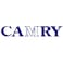 Camry Bathroom Scale Monitor White Br9709 120Kg
