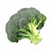 Organic Broccoli