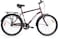 ITG Mogoo Horritage Single Speed Road Bike 24 Inch, Brown