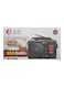 DLC USB Rechargable Radio DLC-32202 -Black/Red