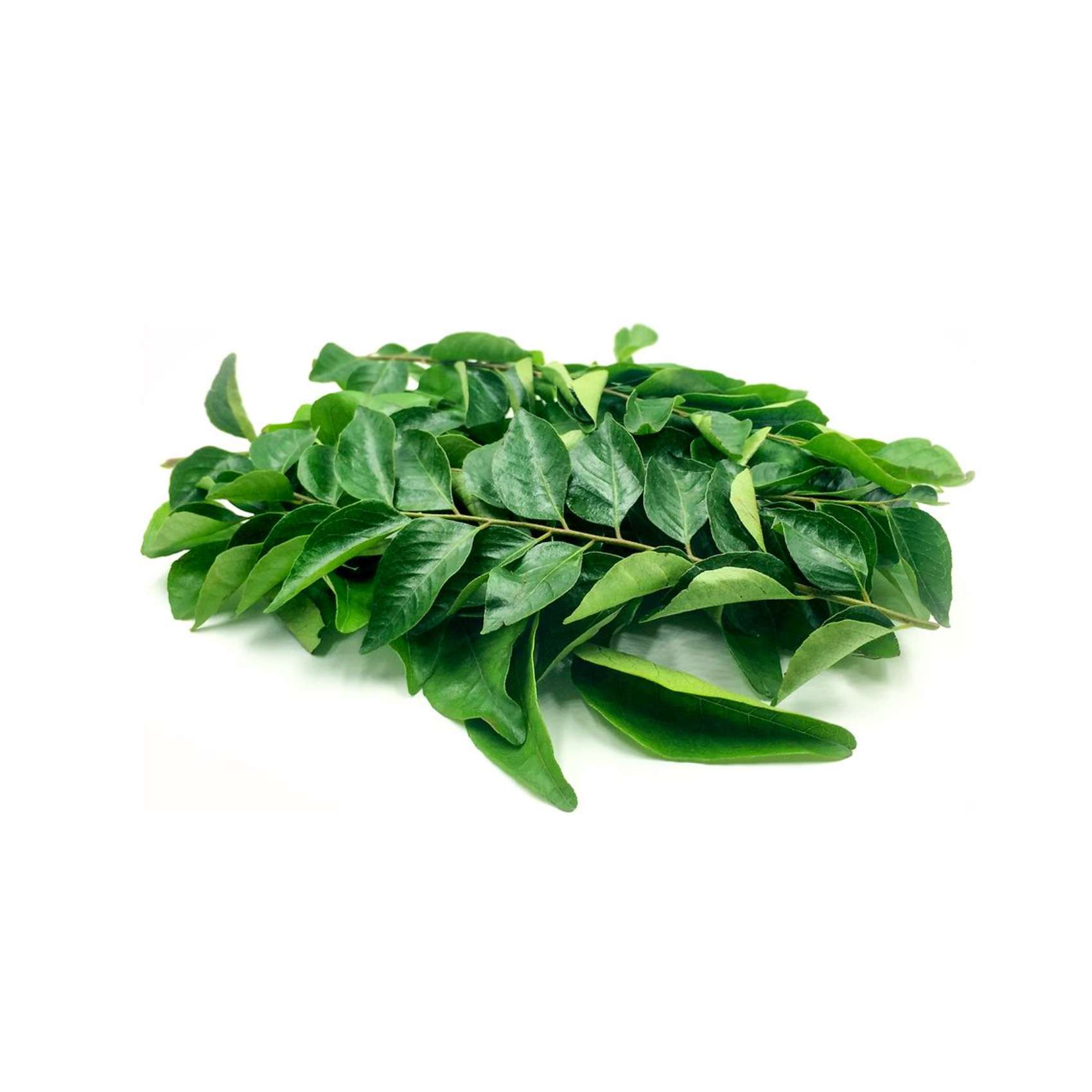 Curry Leaves 40g