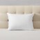 Comfy Standard Cotton Pillow - White