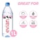 Evian Mineral Water Natural Spring 1L x Pack of 12