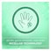 Johnsons Antibacterial Mint Hand Wash 500 ml