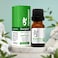 Beauty Voc Peppermint Oil Organic & Herbal Oils - 10ML